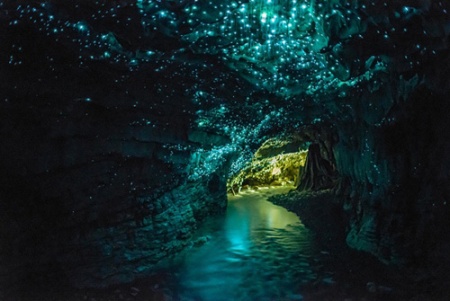 New Zealand Waitomo glow worm cave