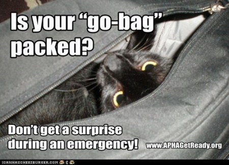 APHA-go bag cat